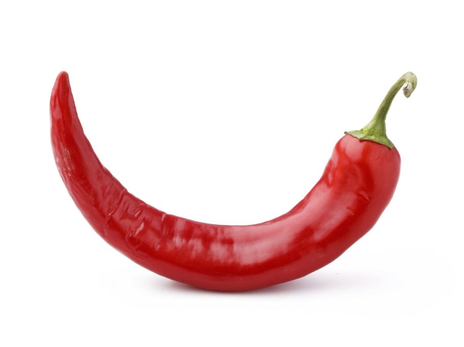 Foto von einer roten Chili